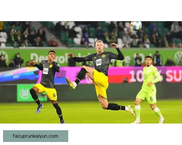 德甲豪门转会趋势分析：夏季窗口内各大俱乐部动态变化明显