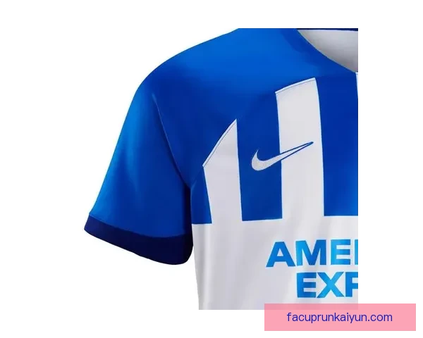 布莱顿球迷抗议俱乐部运营现状